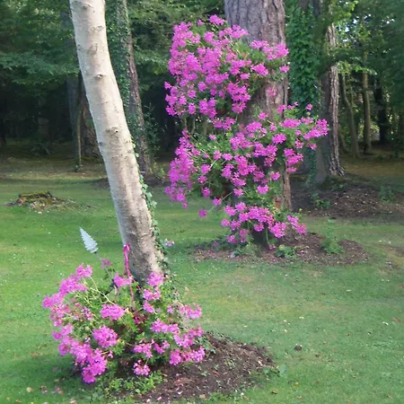 Le Point Du Jour Couette-café Wimille