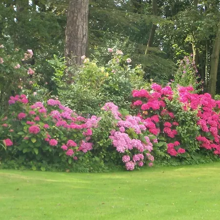 Le Point Du Jour Bed & Breakfast Wimille
