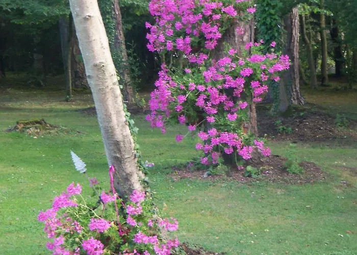 Le Point Du Jour Отель типа 