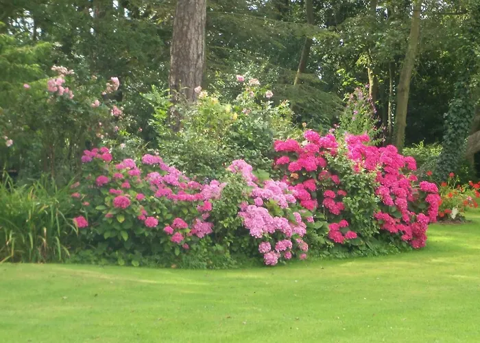 Le Point Du Jour Couette-café Wimille